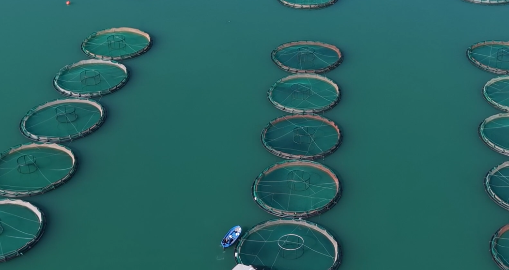 Ekran Görüntüsü 2026 02 25 140505