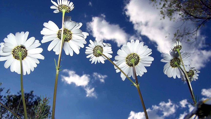 Thumbs B C E14678F33E879Ae2E6411B8A44861D23