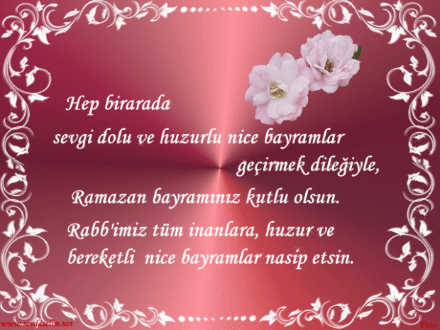 0Q A G Z 1528974712 9817