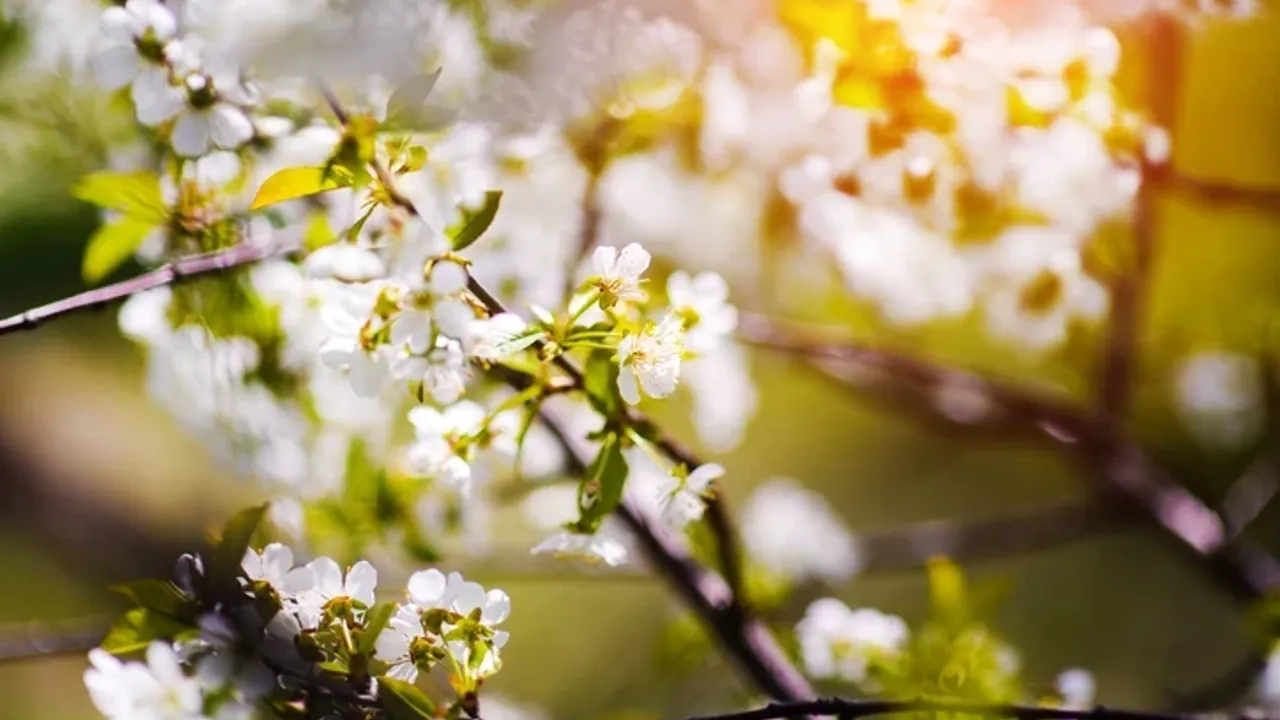 69661E68895406B5337A8D84