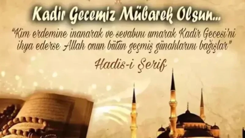 69B74072219A1446 W1200Xh676