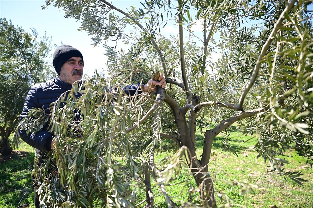 A A 20260303 40720007 40720005 K A H R A M A N M A R A S T A Z E Y T I N U R E T I C I L E R I N E B U D A M A V E G U B R E L E M E U Y A R I S I