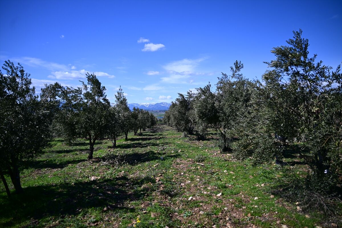 A A 20260303 40720007 40720006 K A H R A M A N M A R A S T A Z E Y T I N U R E T I C I L E R I N E B U D A M A V E G U B R E L E M E U Y A R I S I