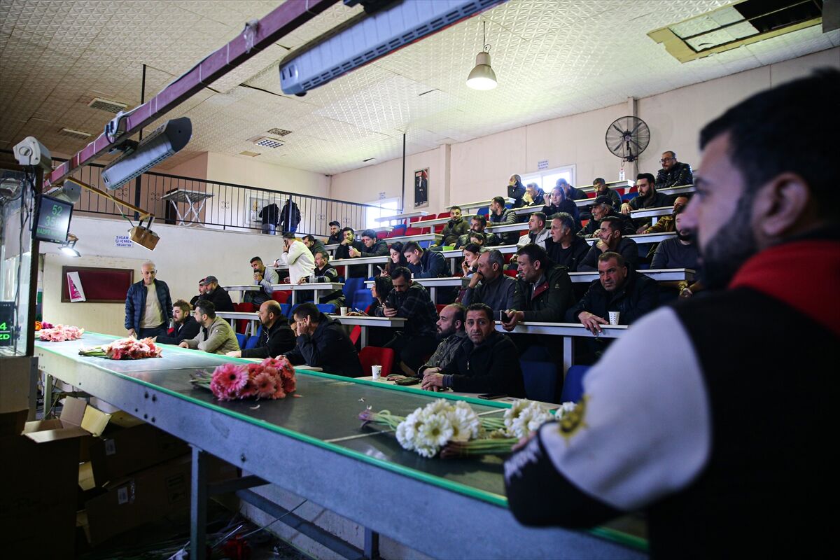 A A 20260306 40746541 40746537 R E N K C U M B U S U N E D O N E N C I C E K M E Z A T L A R I N I K A D I N L A R G U N U H E Y E C A N I S A R D I