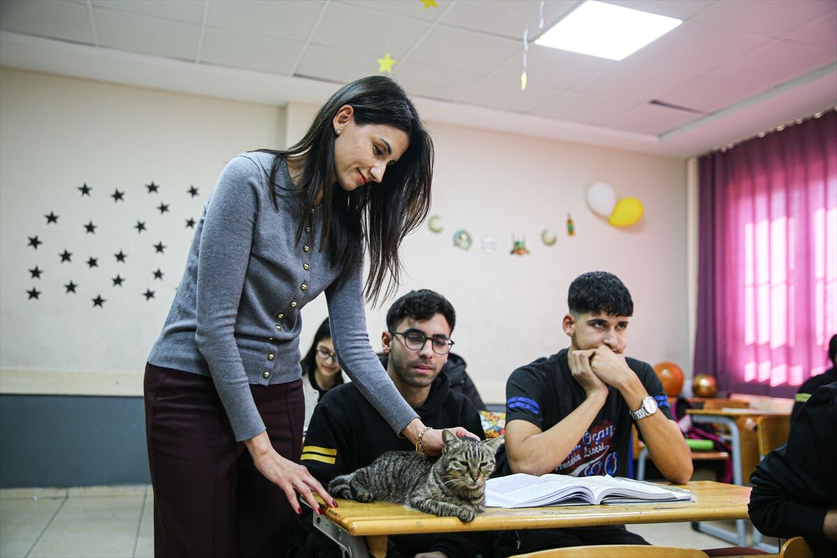 A A 20260306 40746809 40746787 L I S E L I L E R L E D E R S E G I R E N K E D I P A K I Z E O K U L U N 470 I N C I O G R E N C I S I O L D U