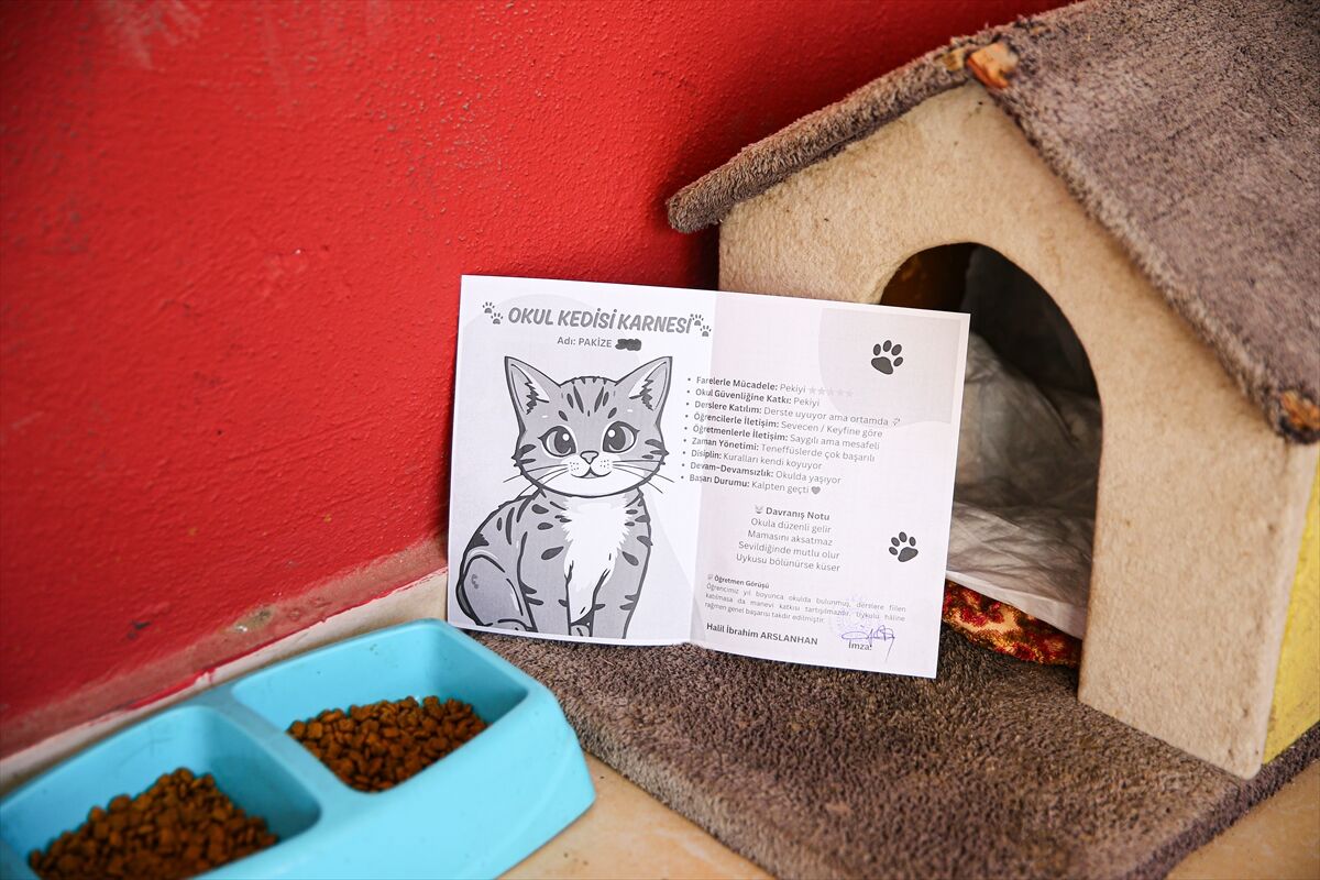 A A 20260306 40746809 40746796 L I S E L I L E R L E D E R S E G I R E N K E D I P A K I Z E O K U L U N 470 I N C I O G R E N C I S I O L D U