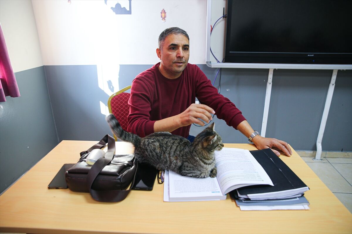 A A 20260306 40746809 40746805 L I S E L I L E R L E D E R S E G I R E N K E D I P A K I Z E O K U L U N 470 I N C I O G R E N C I S I O L D U