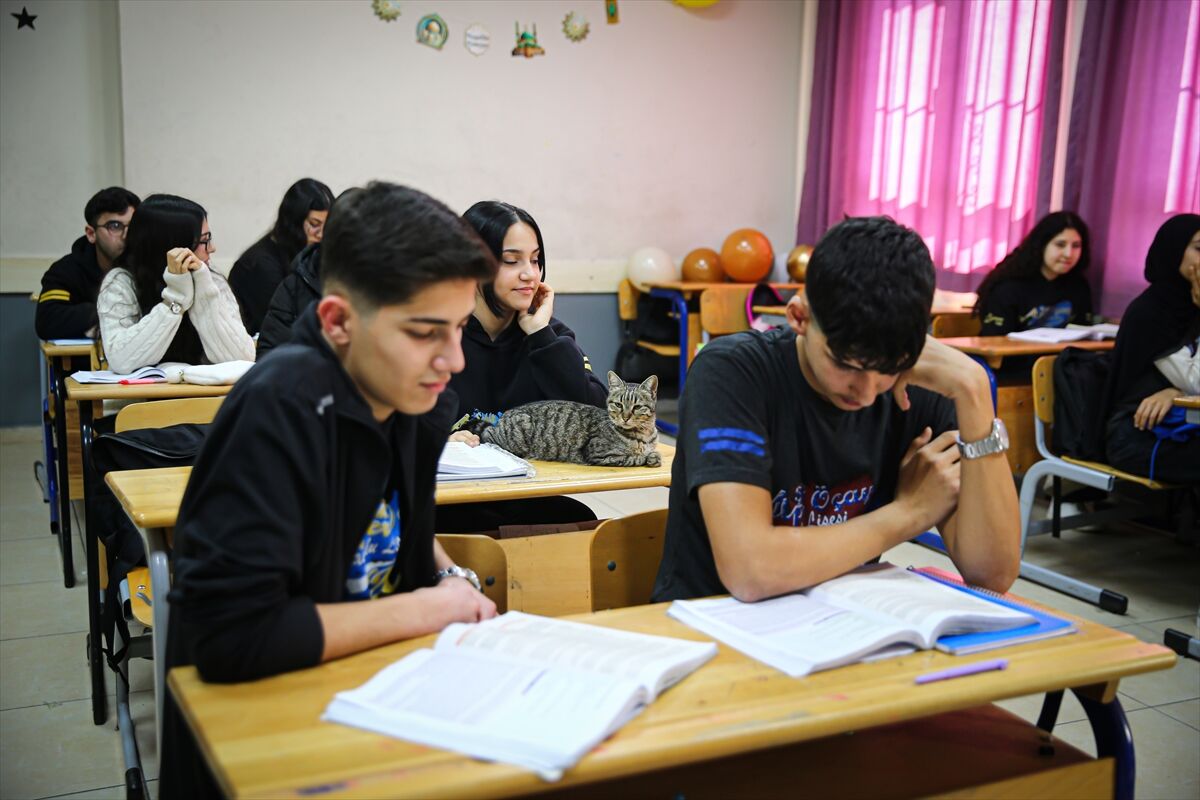 A A 20260306 40746809 40746806 L I S E L I L E R L E D E R S E G I R E N K E D I P A K I Z E O K U L U N 470 I N C I O G R E N C I S I O L D U