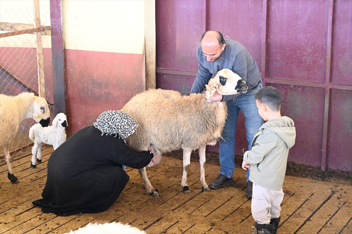 A A 20260311 40789877 40789869 M U H A S E B E C I L I G I B I R A K A N K A D I N G I R I S I M C I D E V L E T D E S T E G I Y L E S U R U S A H I B I O L D U