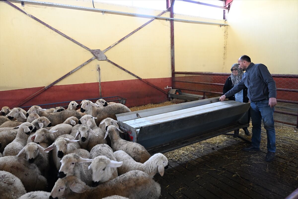 A A 20260311 40789877 40789872 M U H A S E B E C I L I G I B I R A K A N K A D I N G I R I S I M C I D E V L E T D E S T E G I Y L E S U R U S A H I B I O L D U