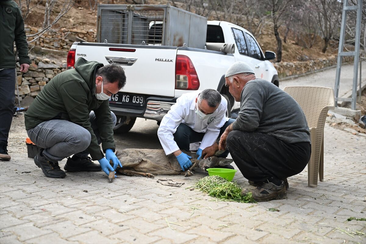 A A 20260312 40804385 40804379 K A H R A M A N M A R A S T A Y A R A L I B U L U N A N K A R A C A Y A V R U S U T E D A V I A L T I N A A L I N D I