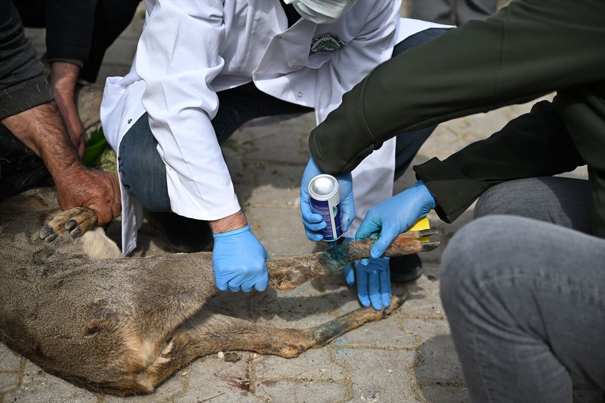 A A 20260312 40804385 40804382 K A H R A M A N M A R A S T A Y A R A L I B U L U N A N K A R A C A Y A V R U S U T E D A V I A L T I N A A L I N D I