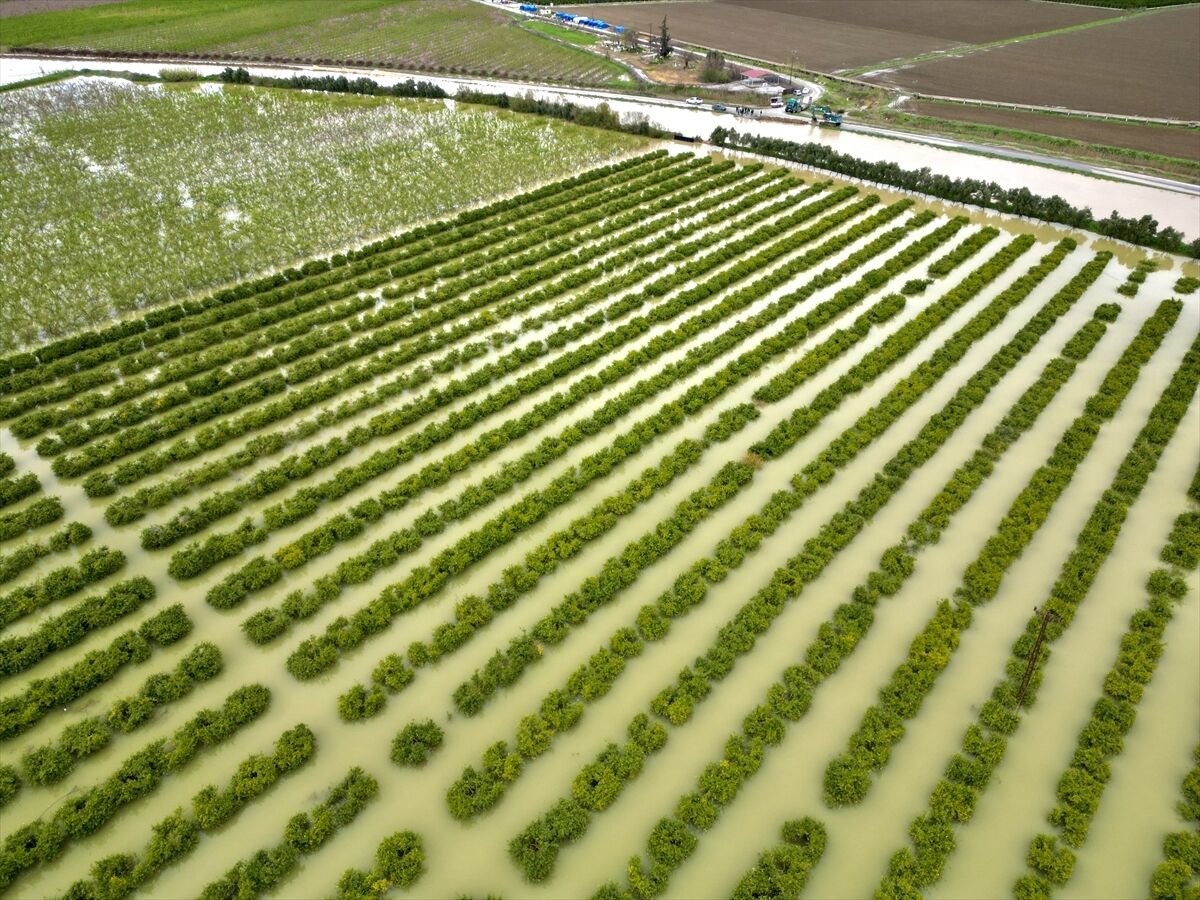 A A 20260323 40903346 40903337 M E R S I N D E S A G A N A K N E D E N I Y L E T A R I M A R A Z I L E R I S U A L T I N D A K A L D I