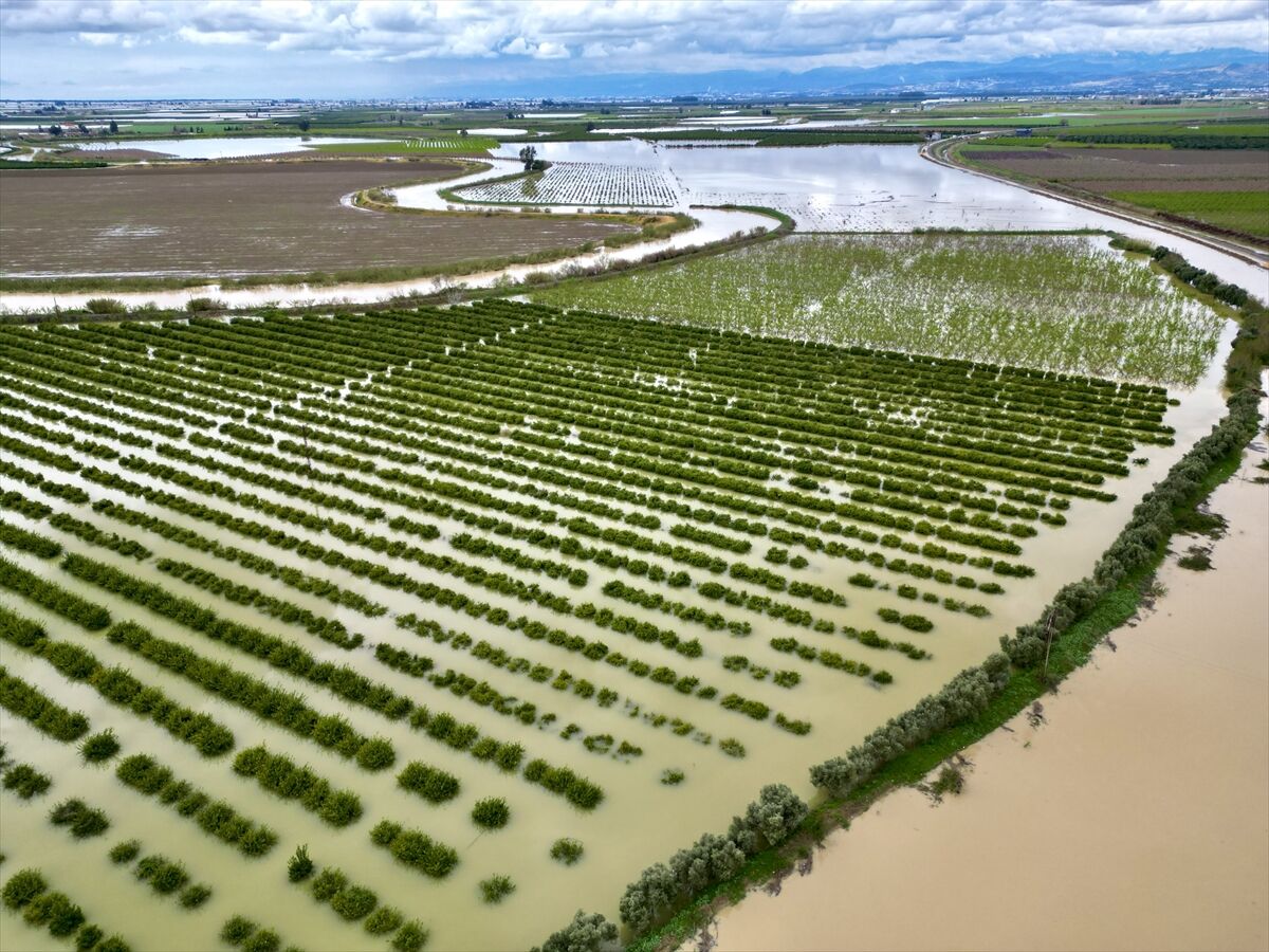 A A 20260323 40903346 40903338 M E R S I N D E S A G A N A K N E D E N I Y L E T A R I M A R A Z I L E R I S U A L T I N D A K A L D I