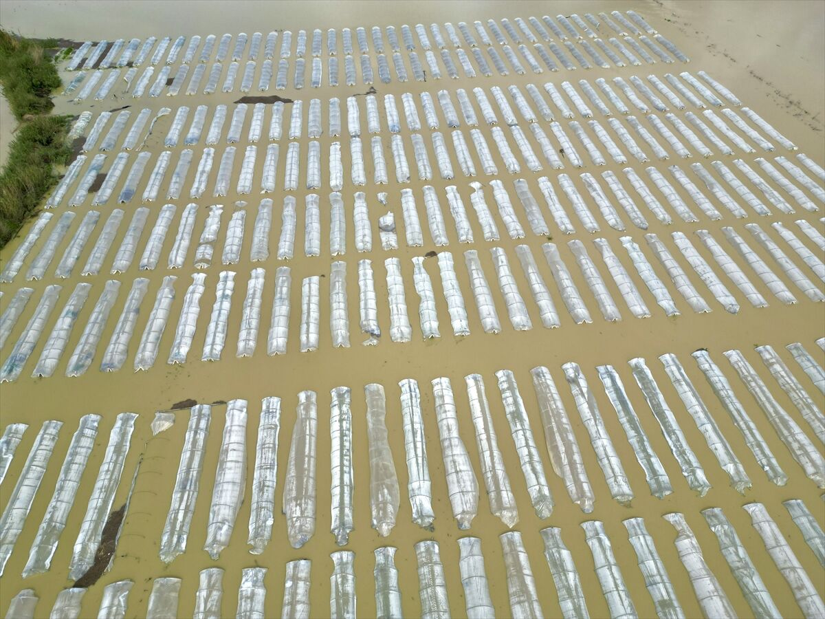 A A 20260323 40903346 40903342 M E R S I N D E S A G A N A K N E D E N I Y L E T A R I M A R A Z I L E R I S U A L T I N D A K A L D I