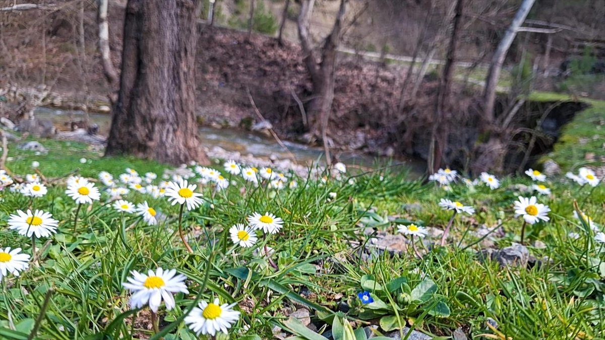 A A 20260328 40946648 40946644 A D A N A D A H A V A N I N I S I N M A S I Y L A A C A N C I C E K L E R D O G A Y A R E N K K A T T I