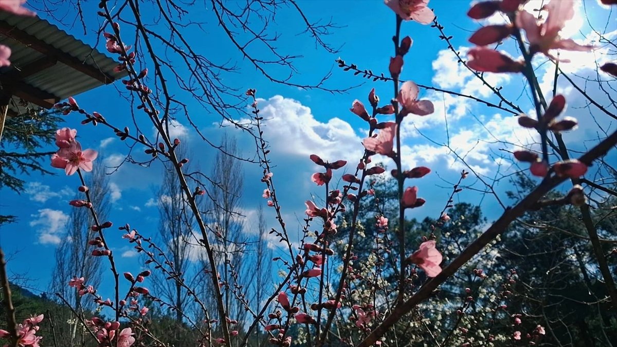 A A 20260328 40946648 40946645 A D A N A D A H A V A N I N I S I N M A S I Y L A A C A N C I C E K L E R D O G A Y A R E N K K A T T I