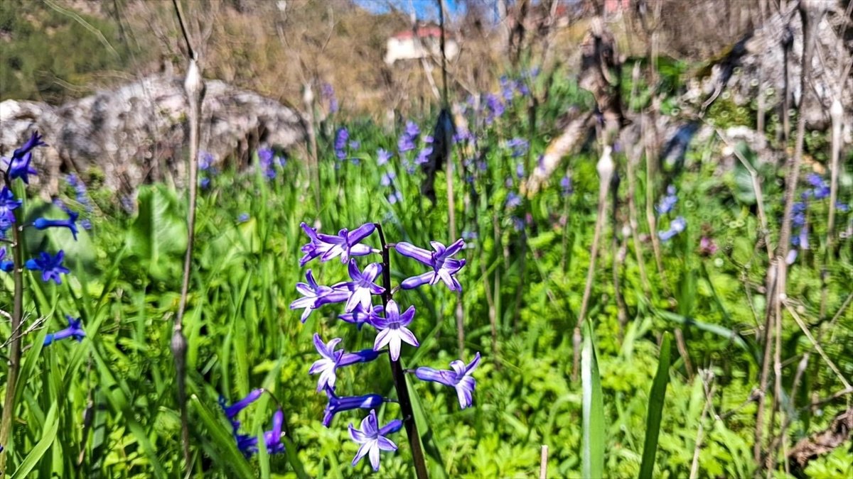 A A 20260328 40946648 40946646 A D A N A D A H A V A N I N I S I N M A S I Y L A A C A N C I C E K L E R D O G A Y A R E N K K A T T I