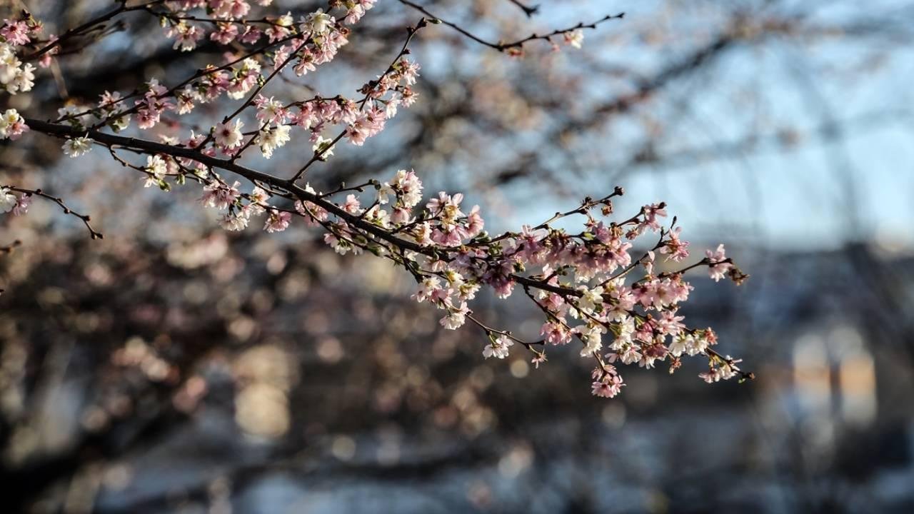 Kahramanmaraş’ta Aynı Gün Dört Mevsim!