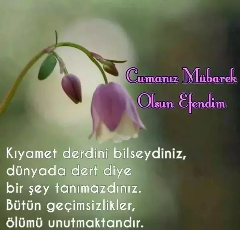 695687Add01Eadb4B0617F9A