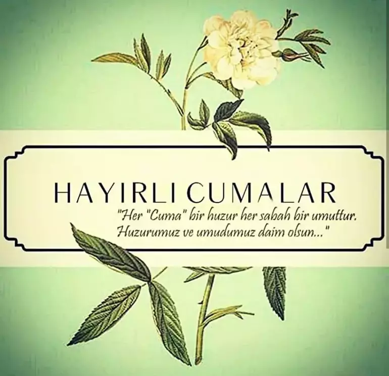 69730Fd2Bd2B38Dfcff57046