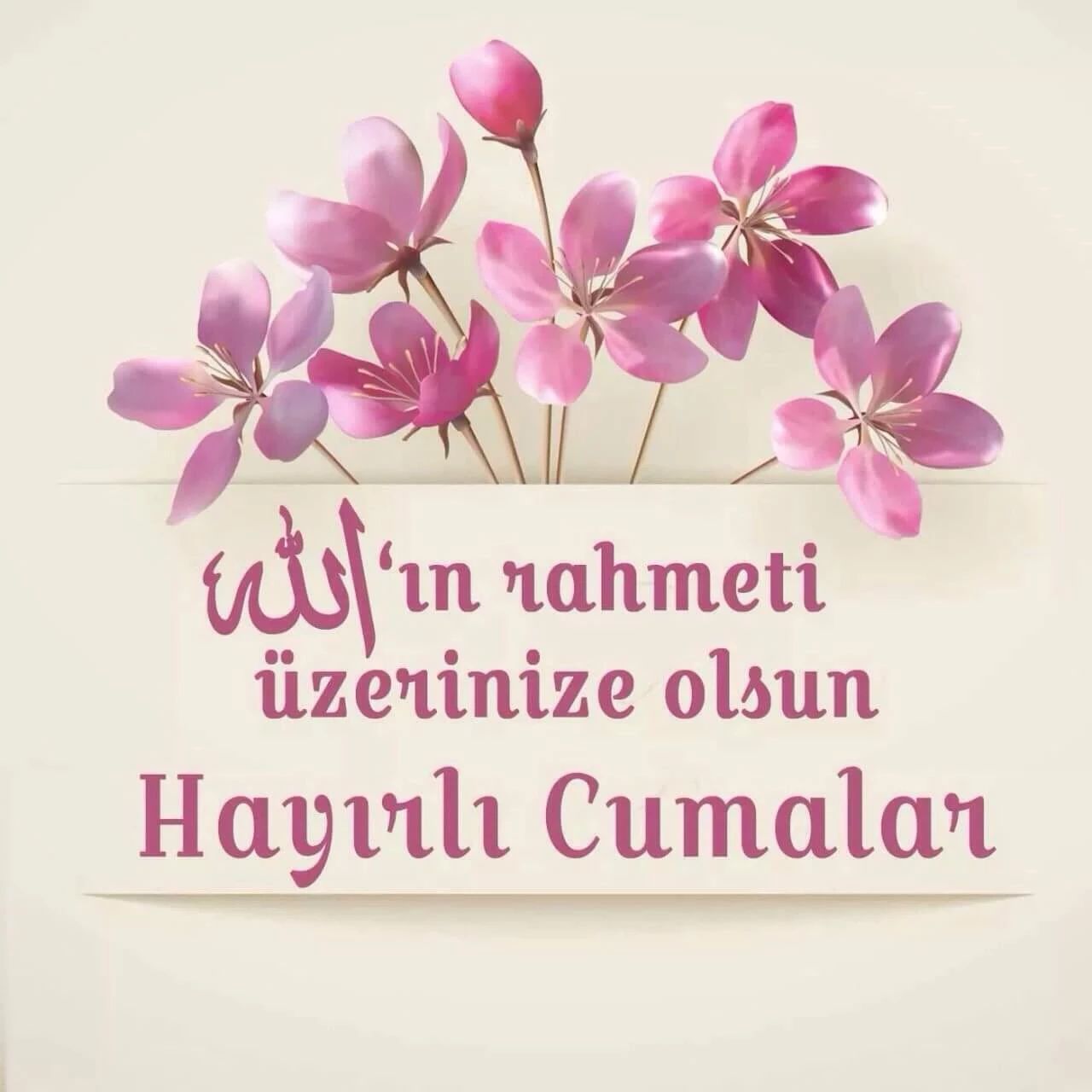 69C578De805928E81Ca91Ac8