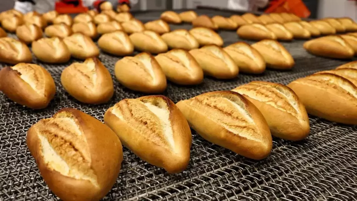 69Caa046Ae0Ce9D44Ffa6F9E