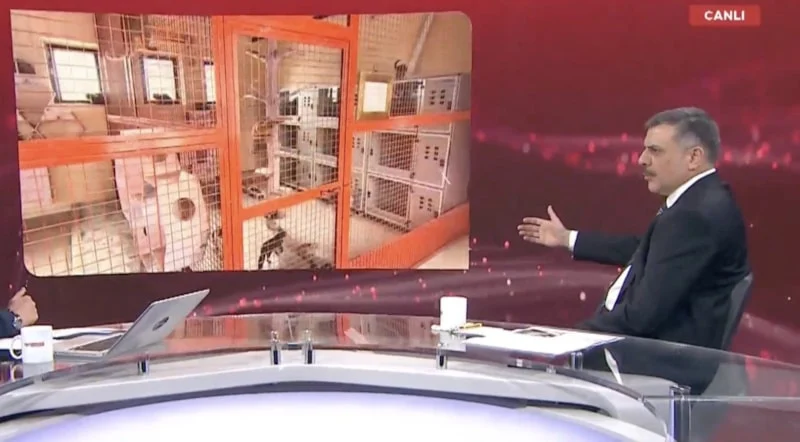 69Cd4A7Ab6C2A207 W1200Xh663