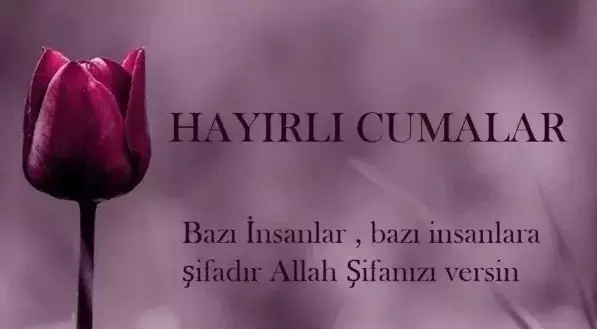 69D7Fdac67203389C5C374F5