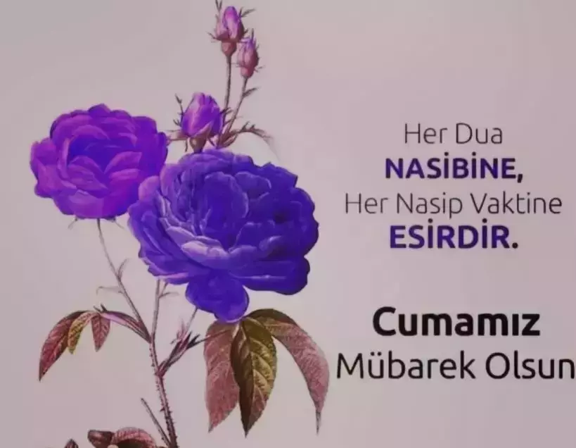 69D7Fdad67203389C5C374F7