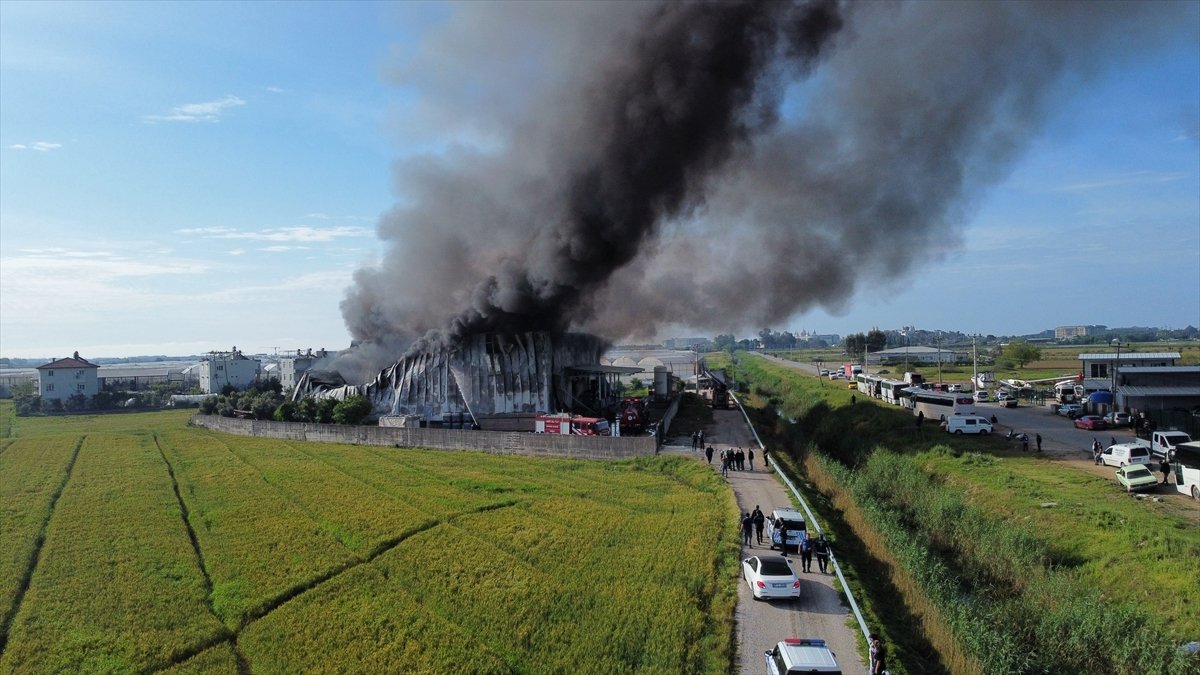 A A 20260425 41204865 41204860 A N T A L Y A D A P A T A T E S C I P S I U R E T I M T E S I S I N D E C I K A N Y A N G I N S O N D U R U L D U