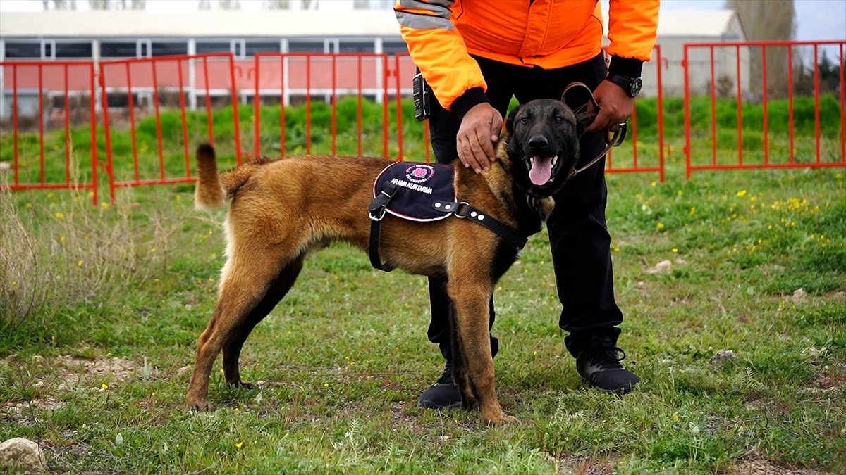 A A 20260428 41229742 41229736 I S P A R T A N I N C A N D O S T L A R I N A H A Y A T K U R T A R M A E G I T I M I