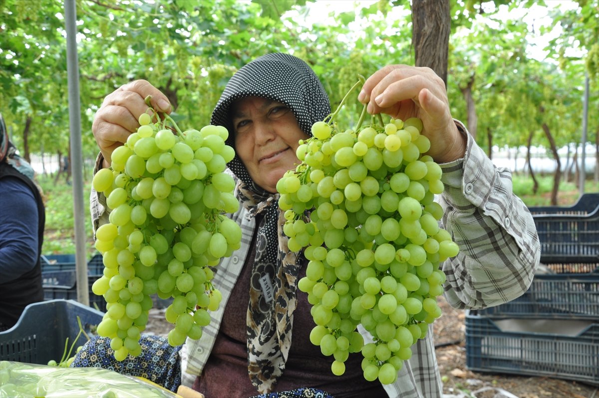 A A 20260430 41249273 41249272 M E R S I N D E O R T U A L T I N D A U Z U M H A S A D I B A S L A D I