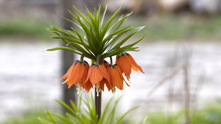 Aa Picture 20240412 34250585