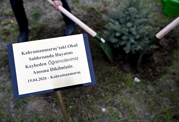 Aa Picture 20260422 41177267