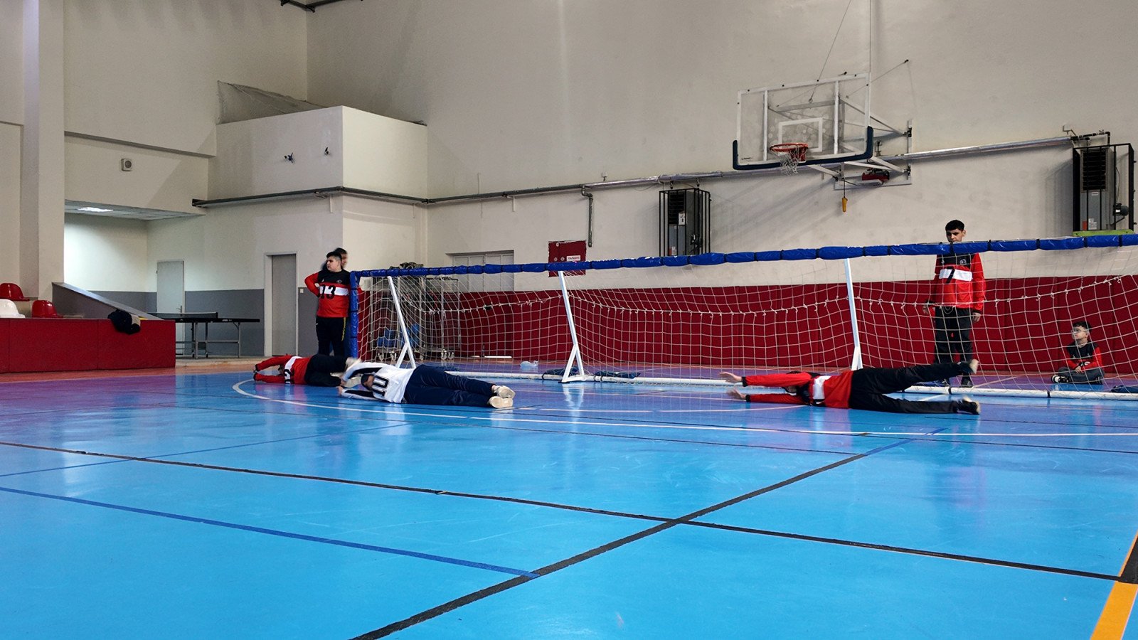 Goalball 8