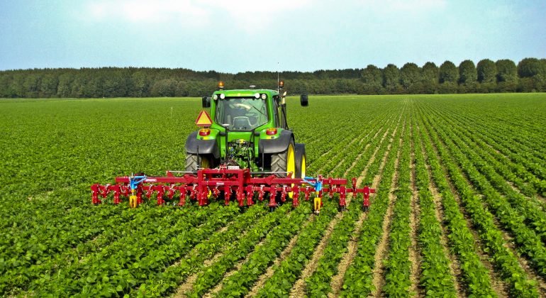 Hollandaciftci 770X420