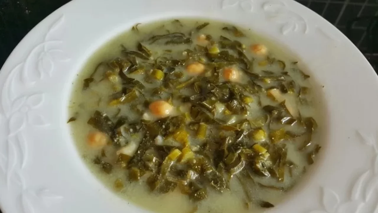 Japon Uzman Kahramanmarasta 95