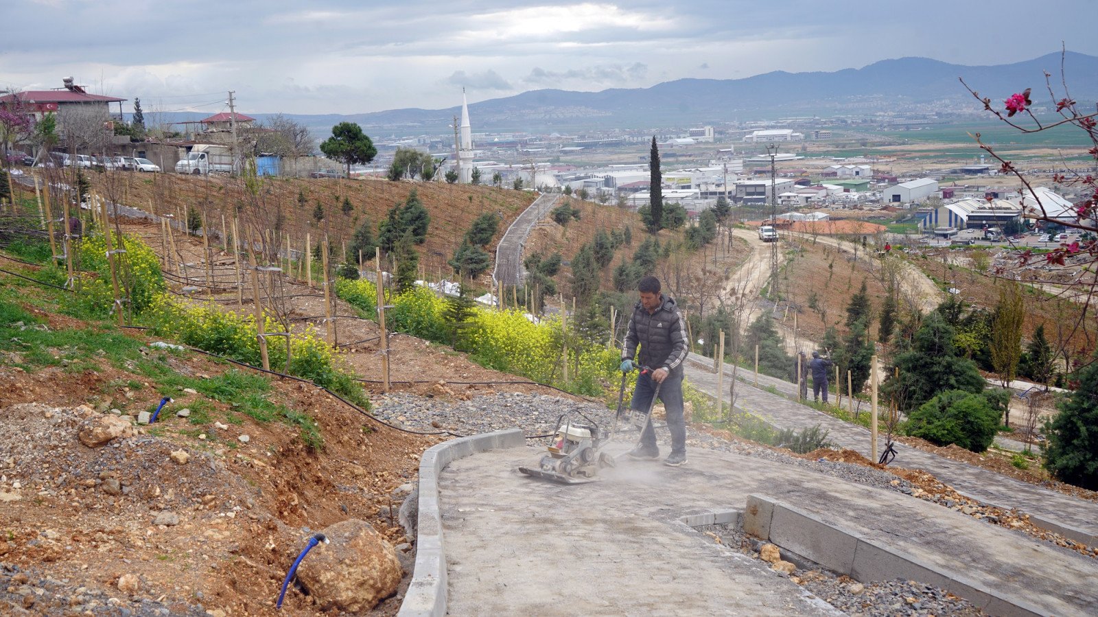 Karbon Yutak Alani 3