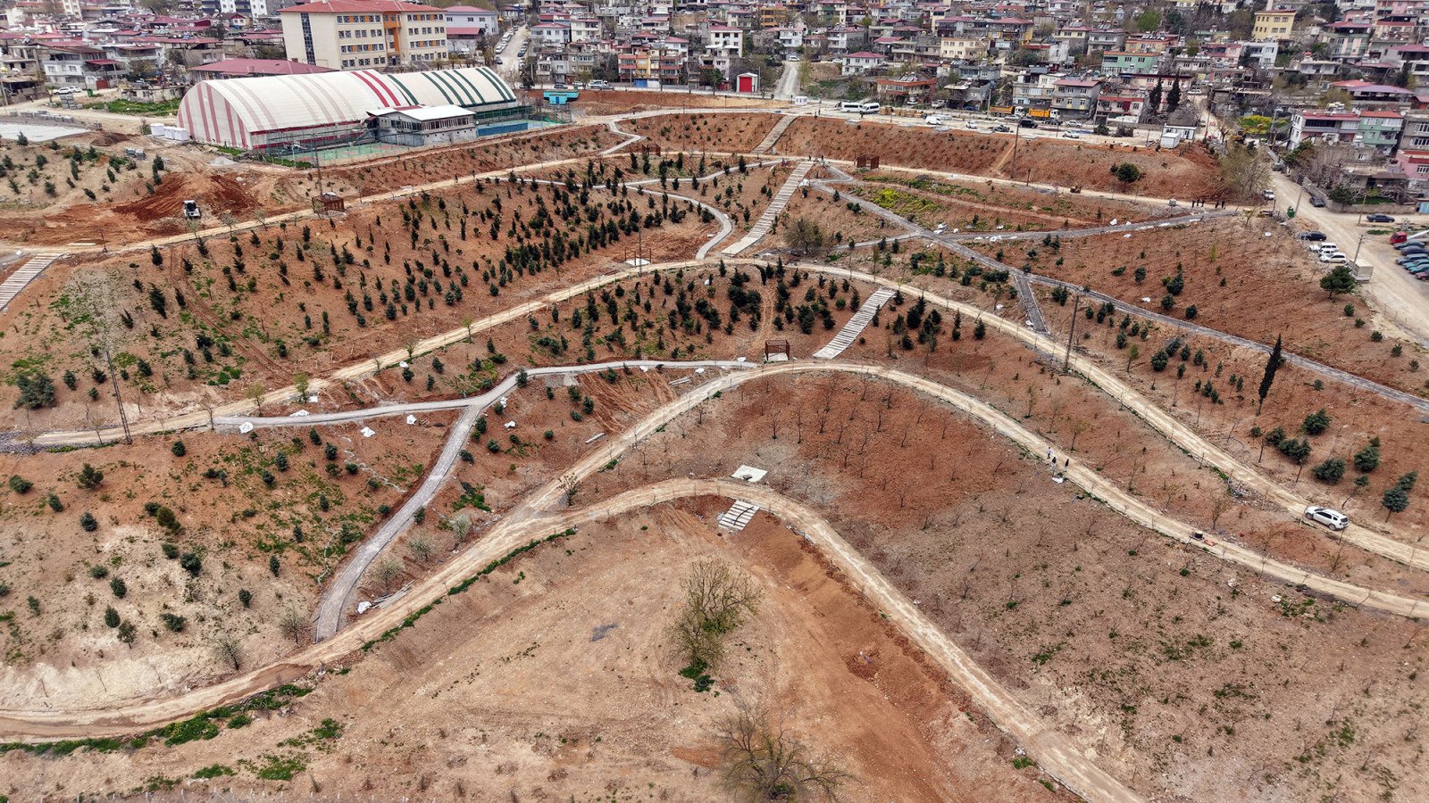 Karbon Yutak Alani 9