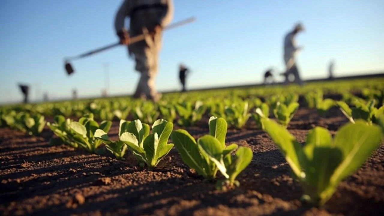 Turkiyede Kuraklik Ve Yeni Nesil Ciftcilik Yontemleri