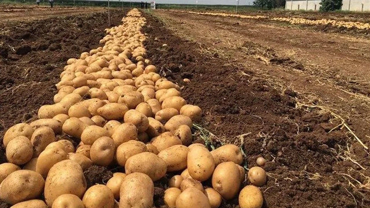 Yokluk Icinde Ciftcilik Yapilmaz