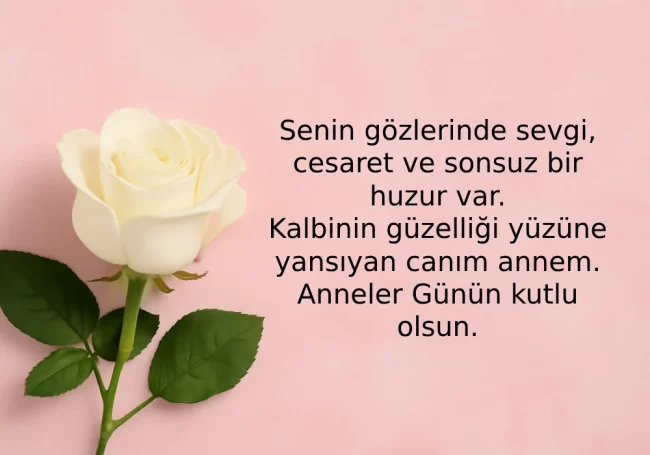 Anneler Gunu Fotografli Mesaj 650X455