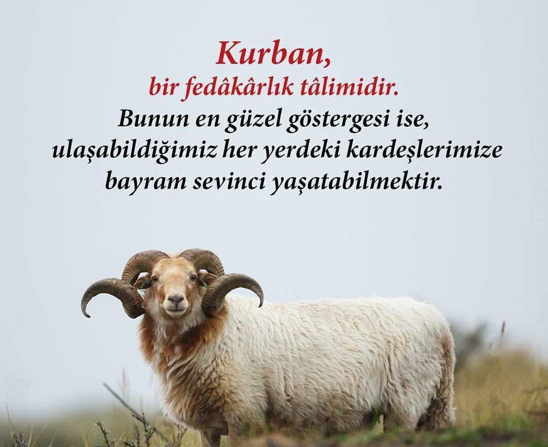 Bayram Mesajlari Resimli 2023 Kurban Bayrami Mesajlari Facebook Whatsapp Instagram 1687508628473