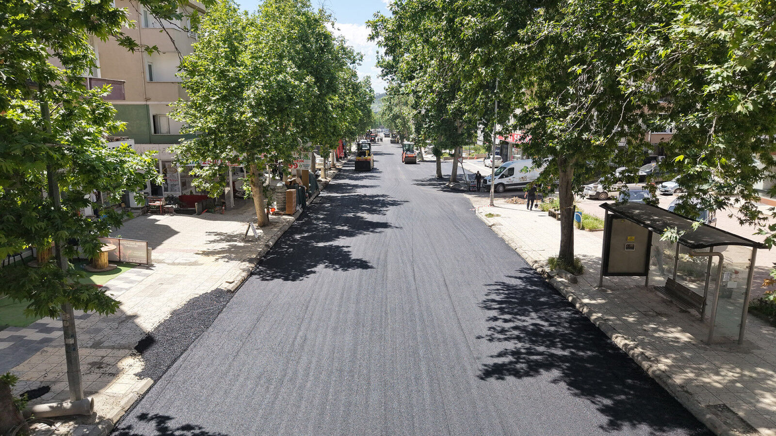 Cahit Zarifoglu Caddesi 4