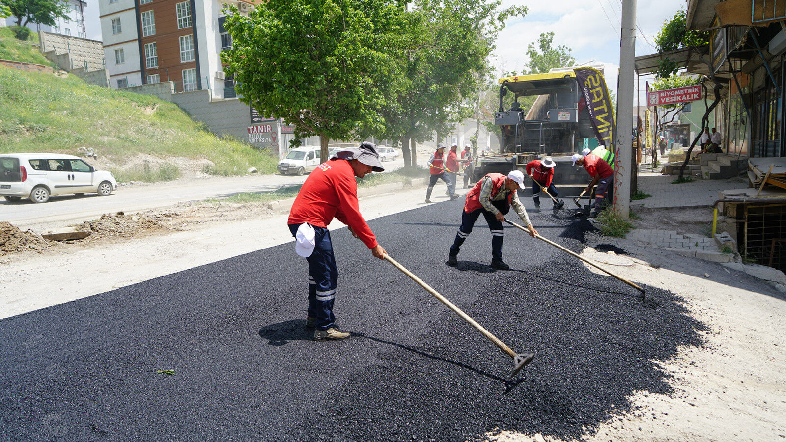 Dulkadiroglu 12