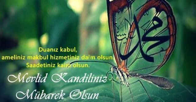 3907424 A374A677D778B2Cf077A5Ab534D9C901 640X640
