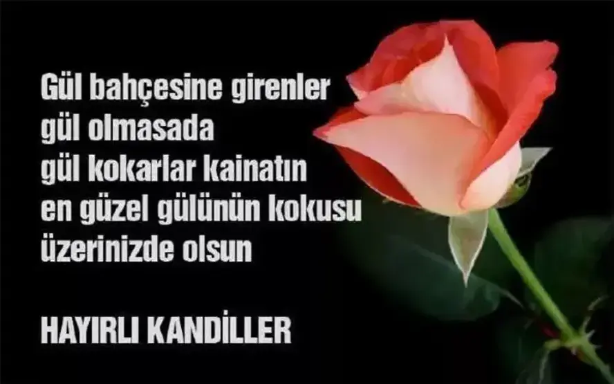 6A8Be93F3418D542946Be418