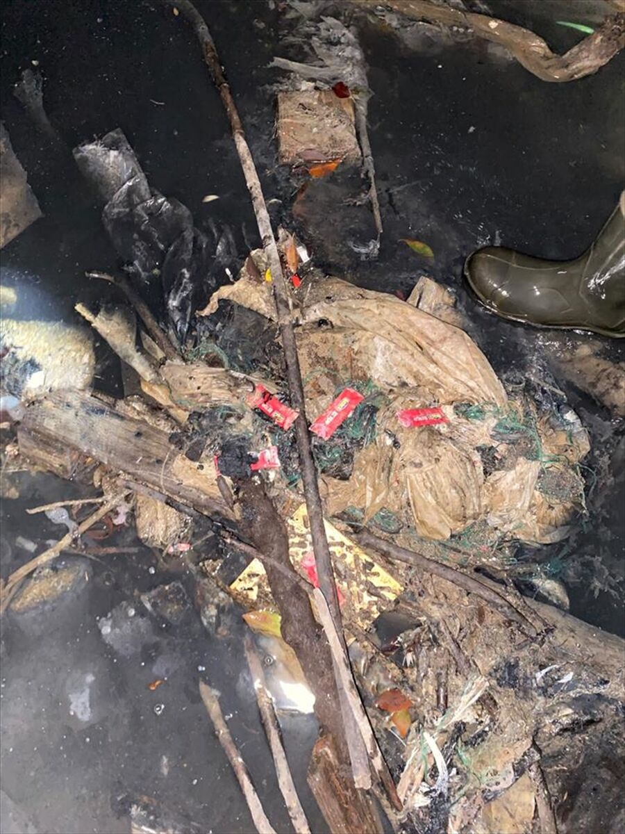 Alanya'da çevreyi kirleten otelle ilgili suç duyurusunda bulunuldu