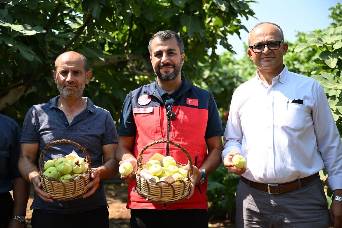 📍 Onikişubat Cüceli Mahallesicüceli Mahallemizde Gerçekleştirilen Abbas İnciri Hasadına Katıl (1)